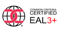 Certificate 10