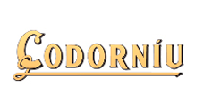 Client company